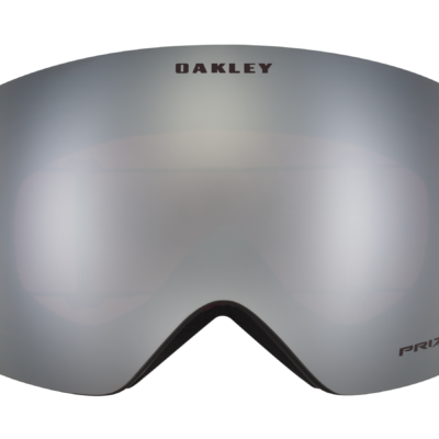 Flight Deck™ L Snow Goggles