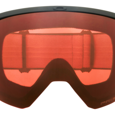 Flight Path L Snow Goggles